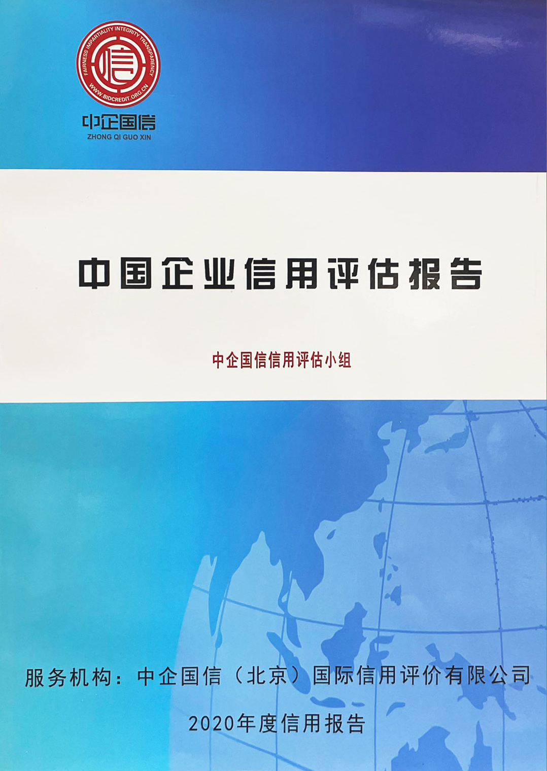 评估报告